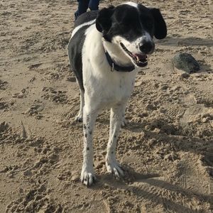 Meet your Posher, Lexi